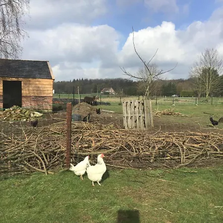 Nergena Frei 3* גוך